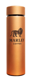 Travel Termo dorado 500 ml